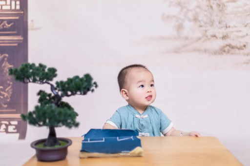 试管代怀生子合法吗6个月的宝宝